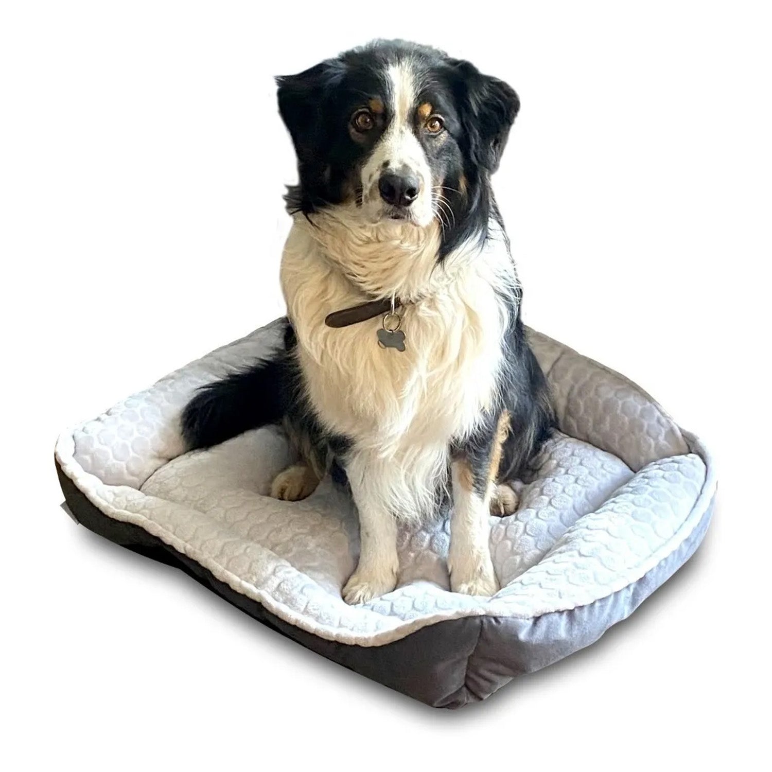 Colchón Mascotas Premium