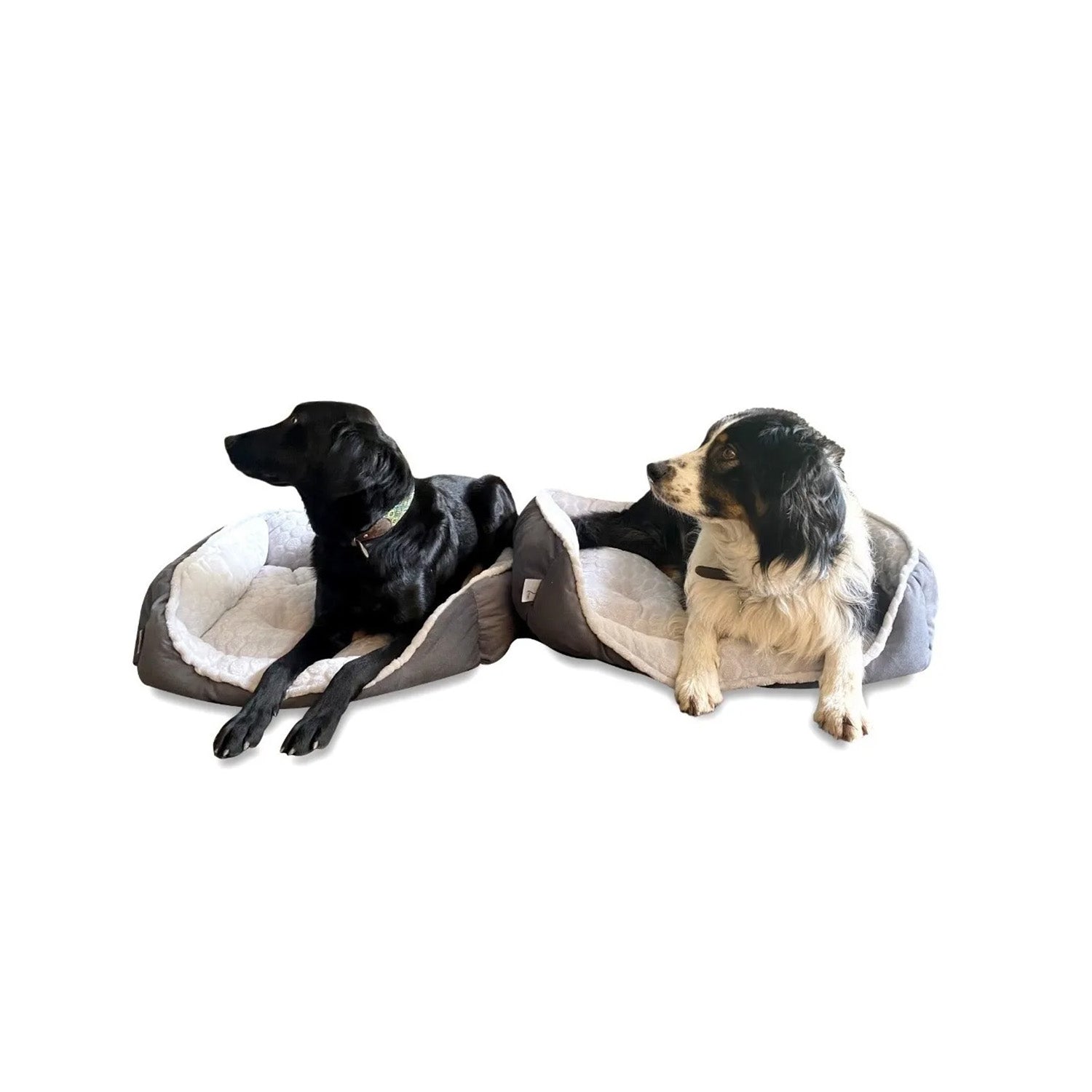 Colchón Mascotas Premium