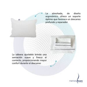 ARTE triples